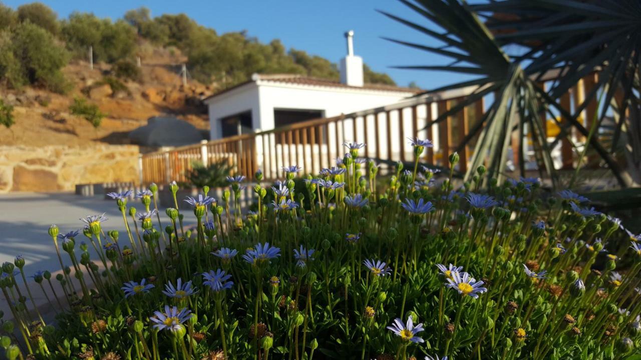 Villa Rural El Mirador Alora Εξωτερικό φωτογραφία