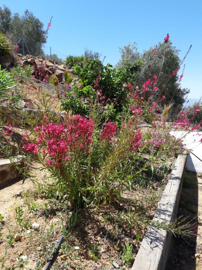 Villa Rural El Mirador Alora Εξωτερικό φωτογραφία