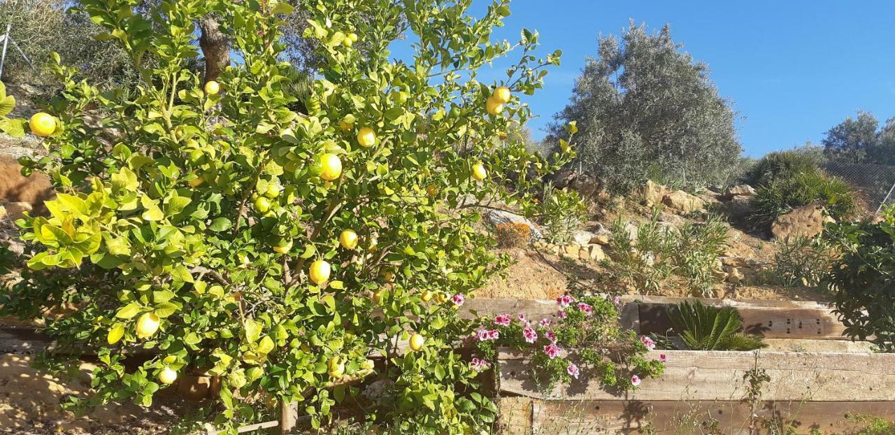 Villa Rural El Mirador Alora Εξωτερικό φωτογραφία